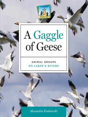 cover image of Gaggle of Geese